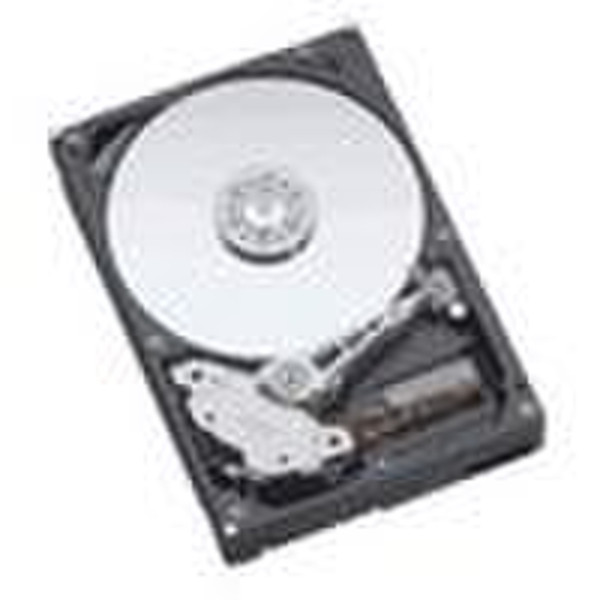 IBM k HDDstar7K250 250GBATA672008MB20pk bulk 250GB Ultra-ATA/100 internal hard drive