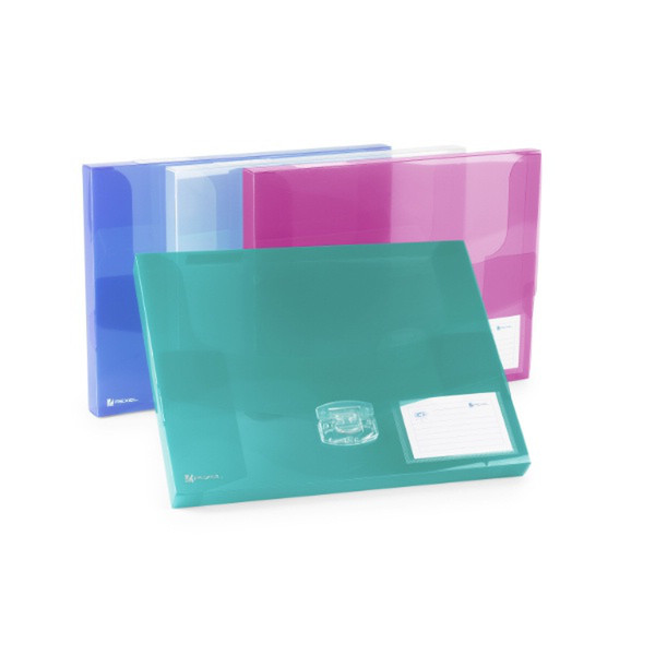 Rexel Ice DocumentBox 25mm Assorted Полипропилен (ПП) Разноцветный папка