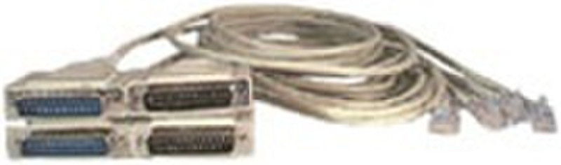 Comtrol 01471-3 1.8м Серый сетевой кабель