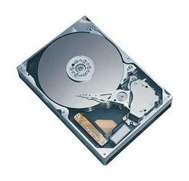 HGST Ultrastar 146Z10 36GB U320 68P 10krpm 36GB SCSI Interne Festplatte