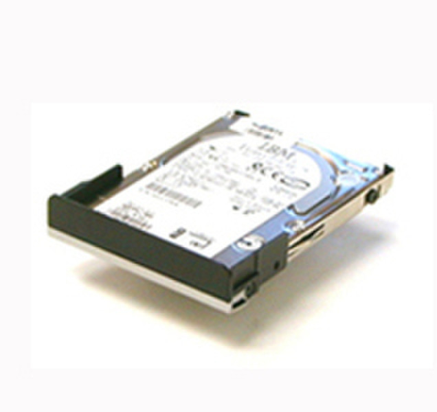 MicroStorage Primary 120GB 5400RPM 120GB SATA Interne Festplatte