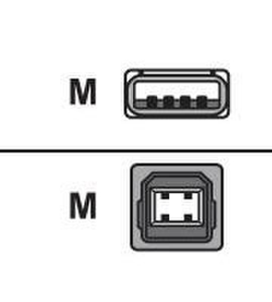 C2G 28393 3.05м USB A USB B кабель USB