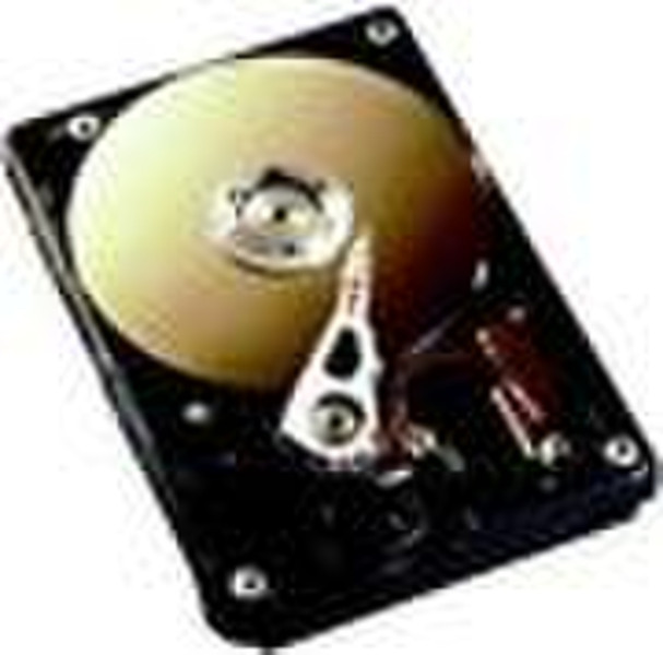 Fujitsu HDD 146 GB, U320 SCSI 146GB SCSI Interne Festplatte