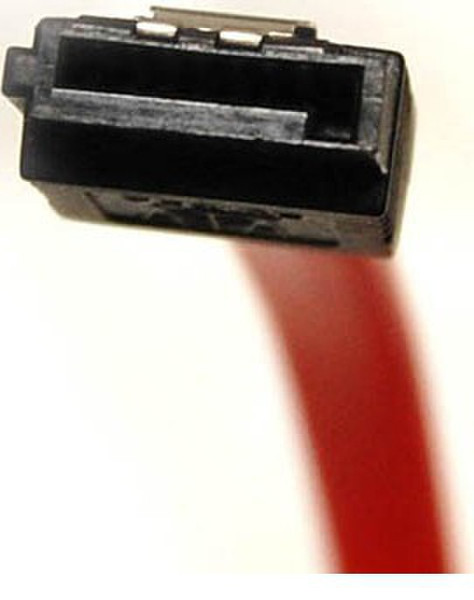 Bytecc Serial ATA Cable, Red, 0.45m 0.45m Red SATA cable