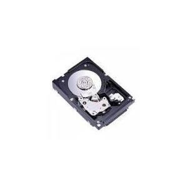 Fujitsu SX-HDD SAS 146GB 146ГБ SCSI внутренний жесткий диск