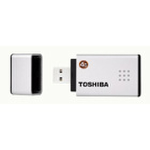 Toshiba Gigastick - 4 GB внутренний жесткий диск