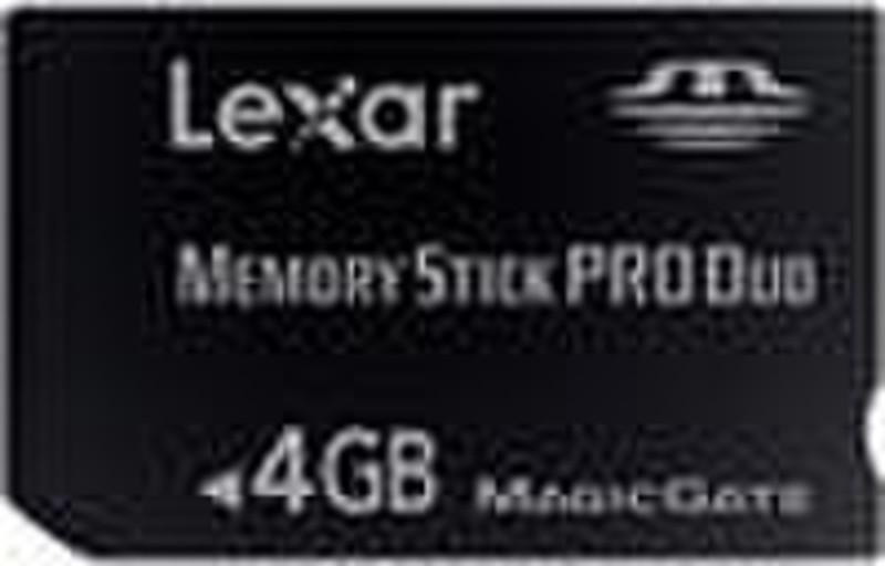 Lexar 4 GB Platinum II Memory Stick PRO Duo 4GB memory card