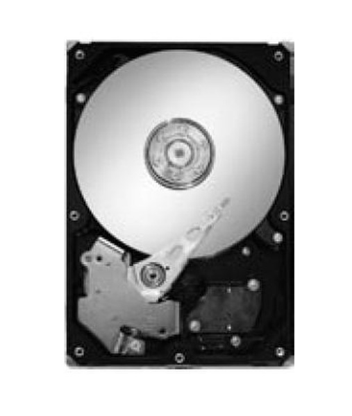 Seagate DiamondMax 21 320 GB ATA 320GB Ultra-ATA/100 Interne Festplatte