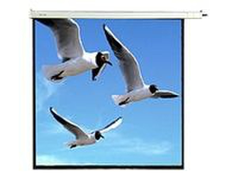 X4-TECH ZoomPower 1:1 White projection screen