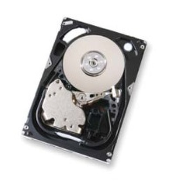 Hitachi Ultrastar 15K300 146GB FCAL 4Gb/s 146GB Fibre Channel internal hard drive