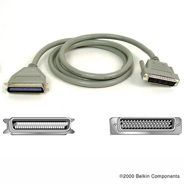 Belkin Cable SCSI II