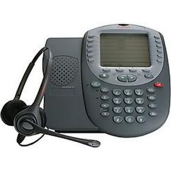 Avaya 4622SW Grau IP-Telefon