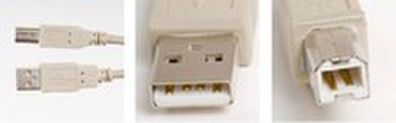 Microconnect USBAB2/200 1.8m Weiß USB Kabel