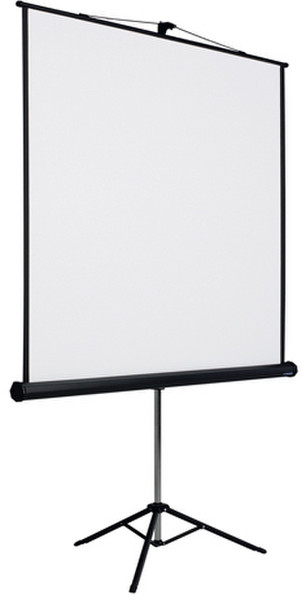 Smit Visual 14007.327 1:1 White projection screen