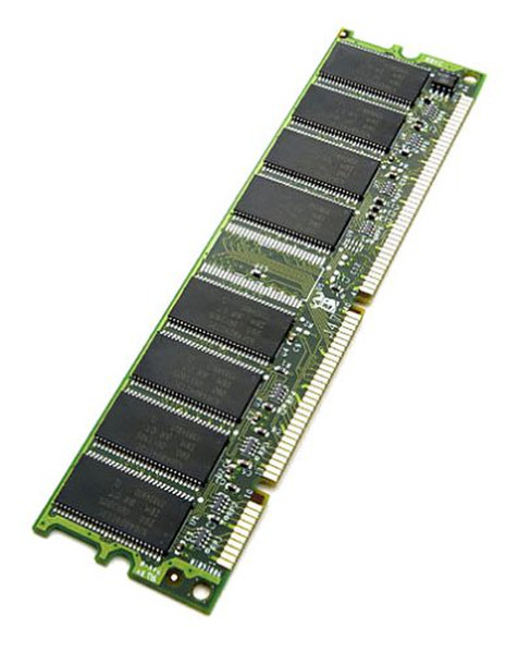 Viking 64MB PC100 DIMM 100MHz memory module