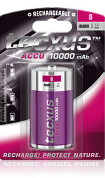 Tecxus D/ NiMH 10000mAh Никель-металл-гидридный (NiMH) 10000мА·ч 1.2В аккумуляторная батарея