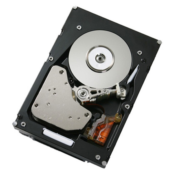 IBM Express 1TB Hot-Swap SATA II 1024ГБ Serial ATA II внутренний жесткий диск