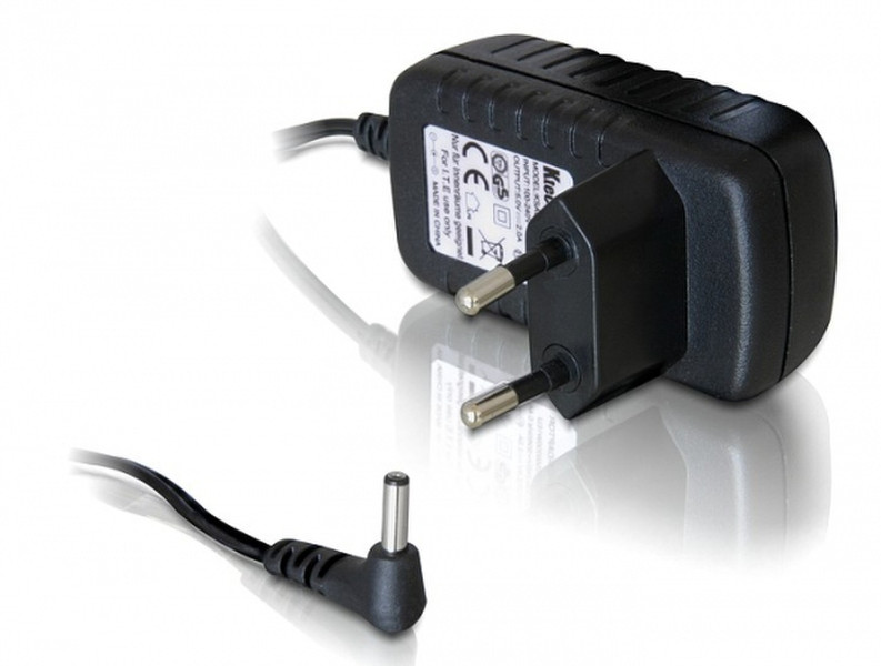 DeLOCK 41258 Black power adapter/inverter