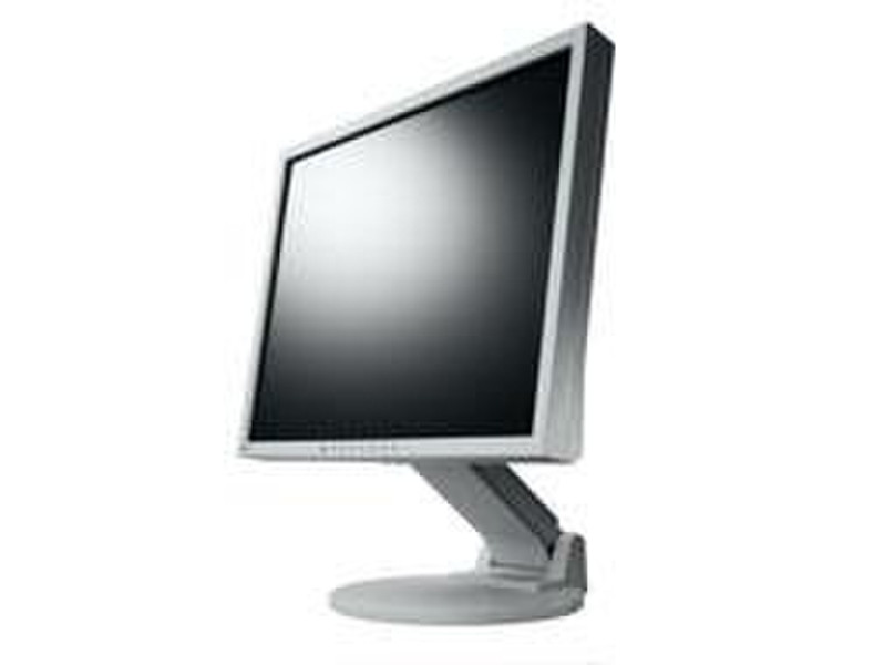 Eizo S1921X 19Zoll Grau Computerbildschirm