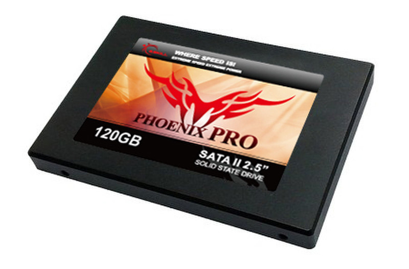 G.Skill FM-25S2S-120GBP2 Serial ATA II solid state drive