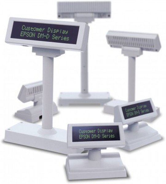 Epson DM-D110BF: Stand-alone type with DP-110 and extention pole (ECW)