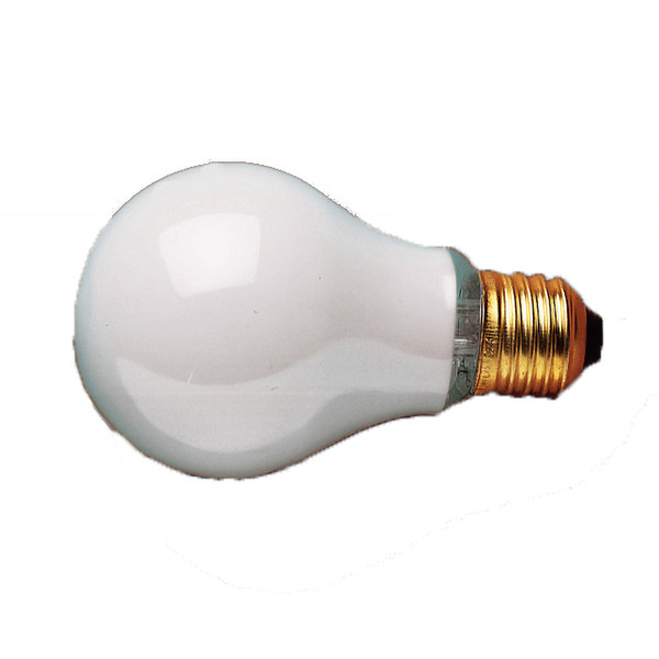 Kaiser Fototechnik 3124 150W incandescent bulb