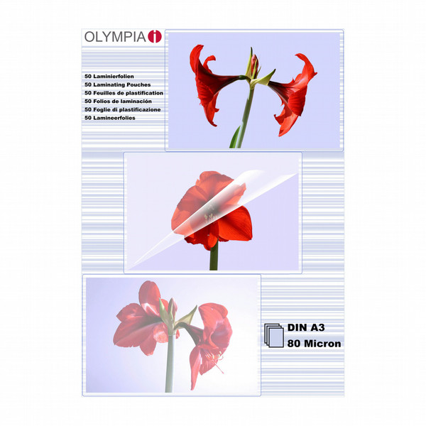 Olympia 1x50 DIN A3 80 micron 50Stück(e) Laminierhülle