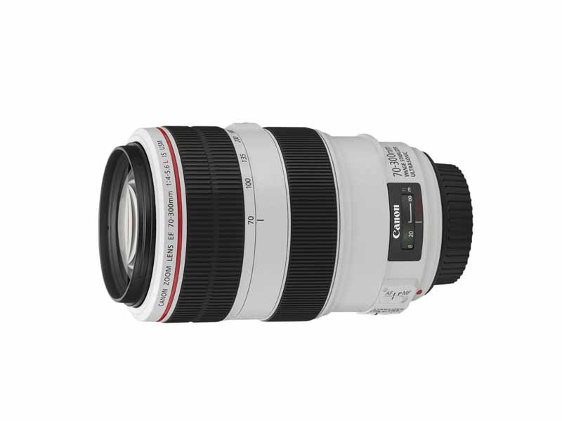 Canon EF 70-300mm f/4-5.6L IS USM SLR Telephoto lens Black,White