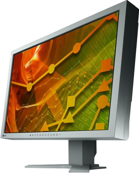 Eizo S2402WFS-GY 24.1Zoll Grau Computerbildschirm