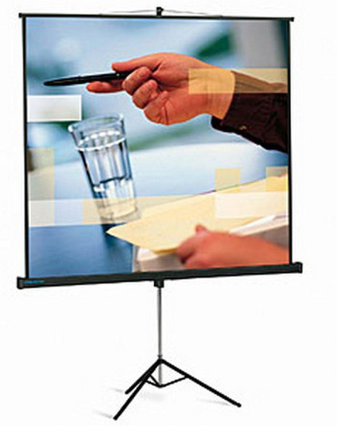 Kindermann Pro View 152x152 1:1 White projection screen