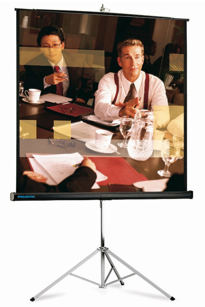 Kindermann Picture King 244x244 1:1 White projection screen