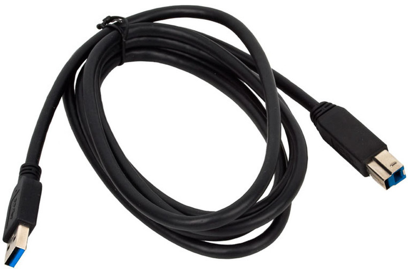 US Robotics USB 3.0 Super Speed Standard 6 ft 1.83m USB A USB B Black USB cable