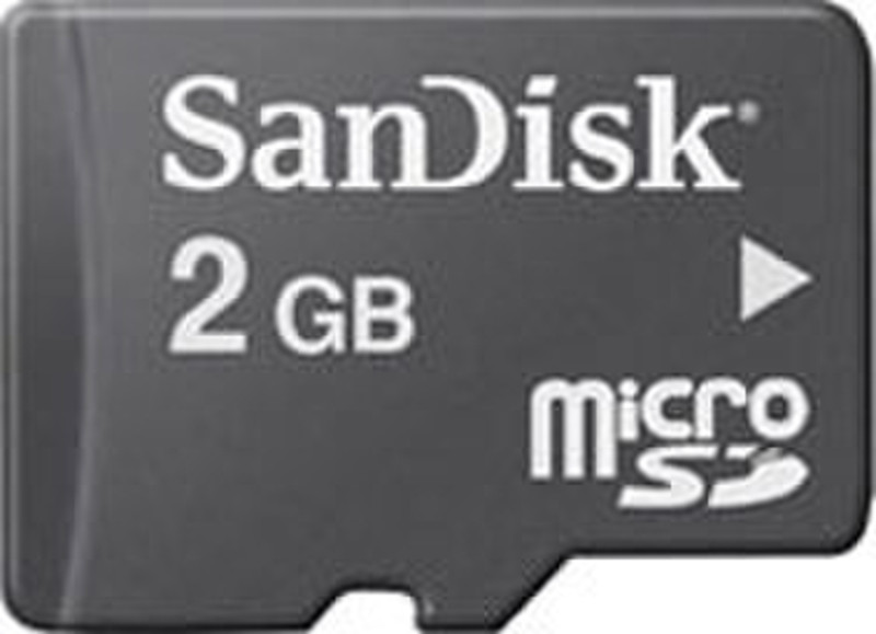 Sandisk MicroSD 2GB 2ГБ MicroSD карта памяти