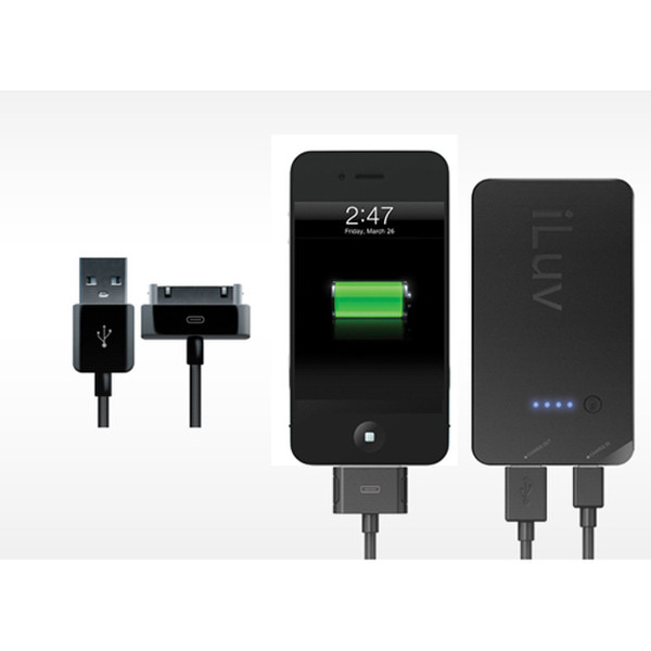 iLuv IBA310 Indoor Black mobile device charger