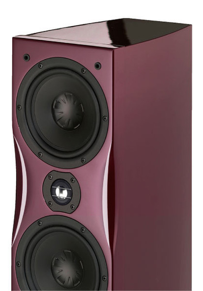 GermanMAESTRO MS-B1GA 80W Purple loudspeaker