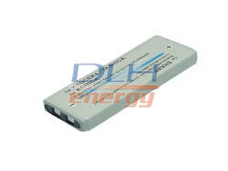 DLH BATTERY LI-ION 3.6V-1000mAh Lithium-Ion (Li-Ion) 1000mAh 3.6V Wiederaufladbare Batterie