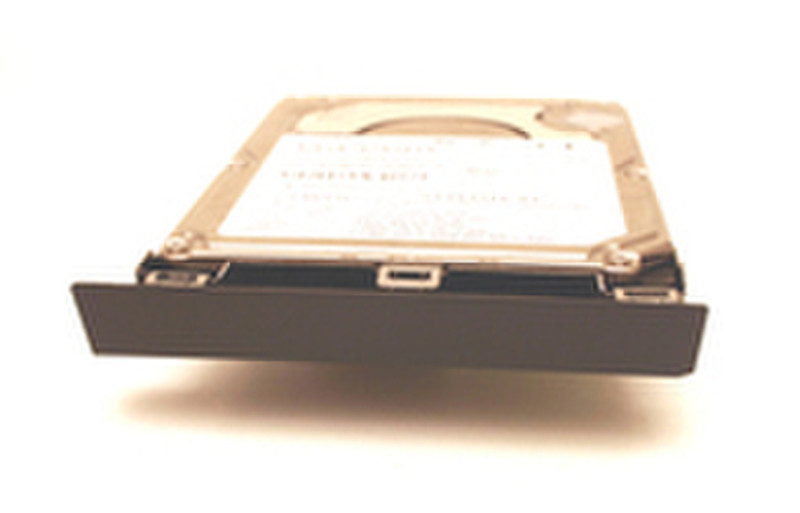 MicroStorage Primary SATA 250GB 5400RPM 250GB Serial ATA internal hard drive