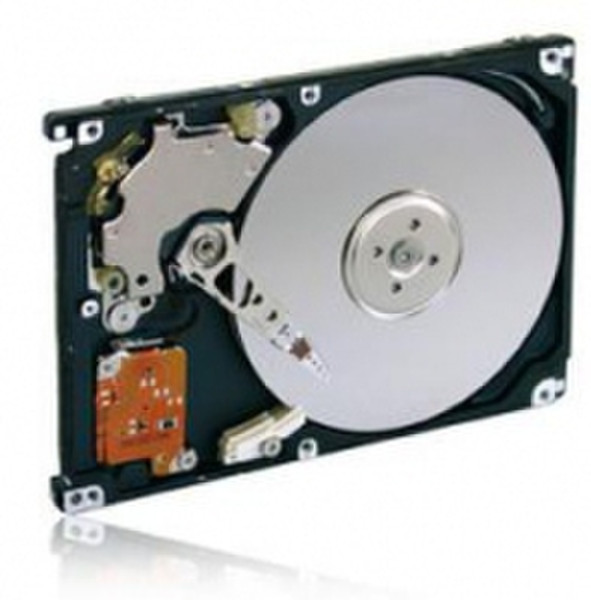 CnMemory 66101 320GB Serial ATA internal hard drive
