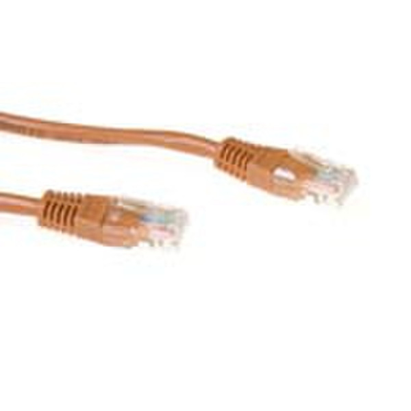 Intronics CAT5E UTP patchcable brown