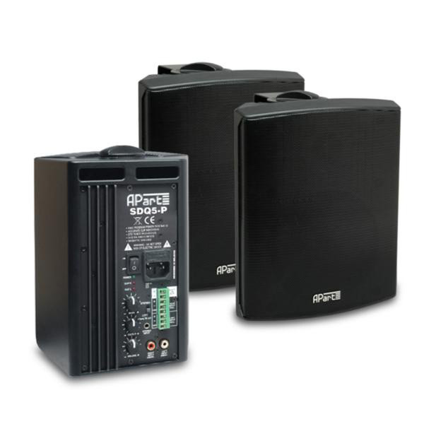 APart SDQ5P-BL 60W Black loudspeaker