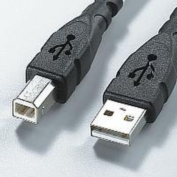 ROLINE USB 2.0 Light cable, 1.8m, type A - B, black 1.8м Черный кабель USB