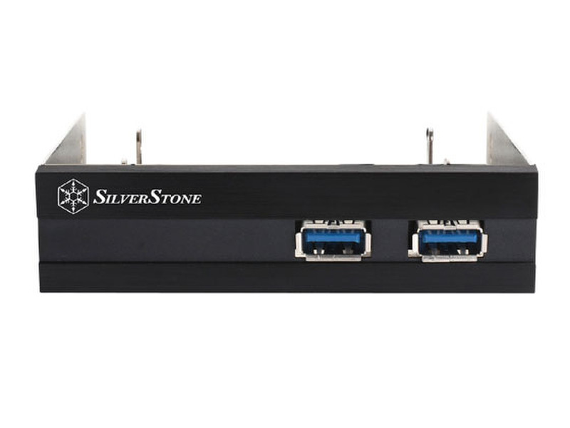 Silverstone FP36 2.5Zoll Schwarz