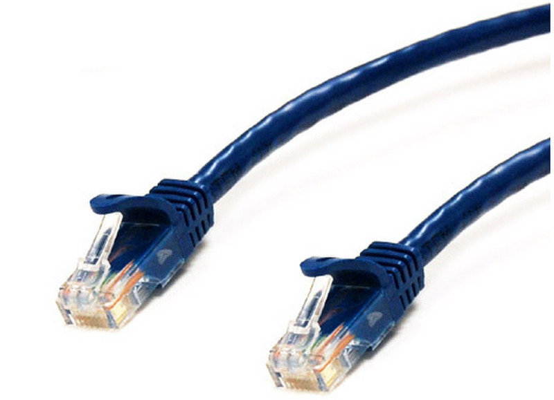 Bytecc Cat.6, 1000ft 304.8m Blue networking cable