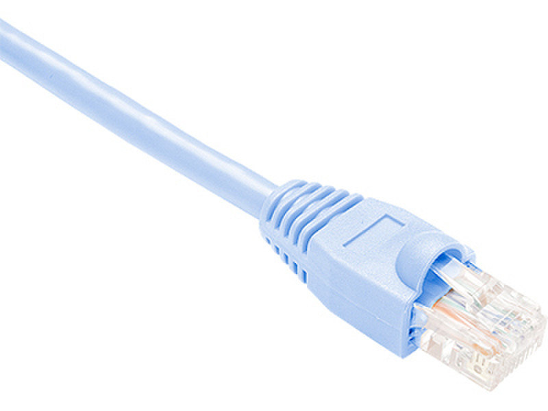 Oncore 6.1m Cat.6 UTP Patch 6.1m Blue networking cable