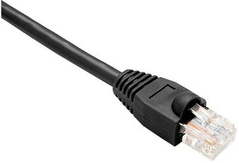 Oncore Cat6, 40 ft 12.2m Black networking cable