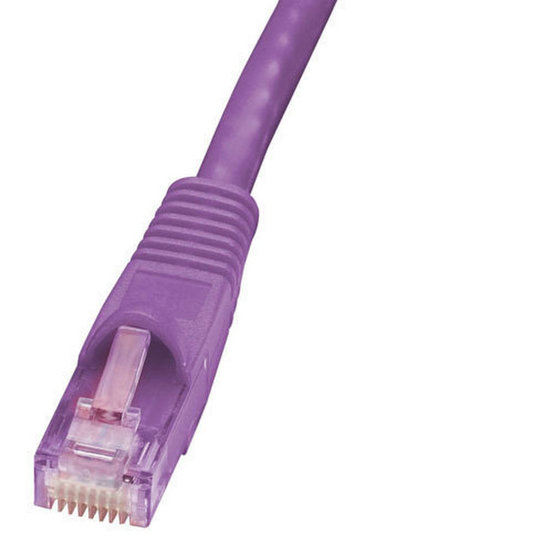 Oncore 15.2m Cat6 Patch 15.2m Purple networking cable