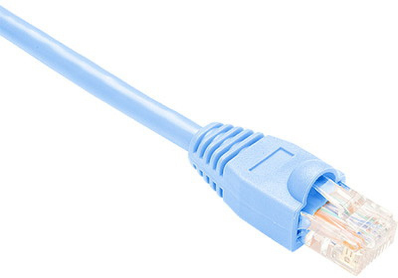 Oncore 22.8m Cat.6 UTP Patch 22.8m Blue networking cable