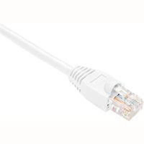 Oncore Cat6, 75 ft 22.86m White networking cable