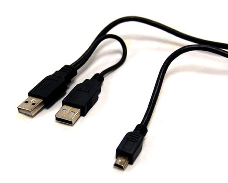 Bytecc 2x USB 2.0 - mini USB 2.0 0.91м USB A Micro-USB B Черный кабель USB