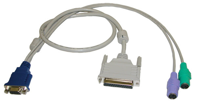 Raritan CCPT20F 2m Grau Tastatur/Video/Maus (KVM)-Kabel